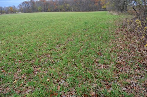 Property photo 52 - 80 Acres & Home - Property Offered in 4 Tracts from 2.3 to 30.0 Acres